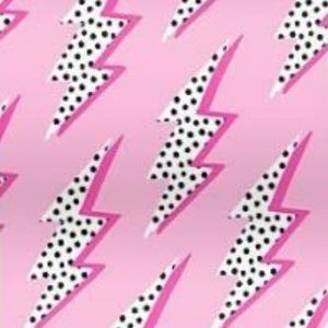 Meet your Posher- Pay!!